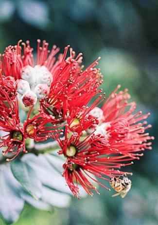 F4067156 955F 411E 91B6 303690E9DE7D